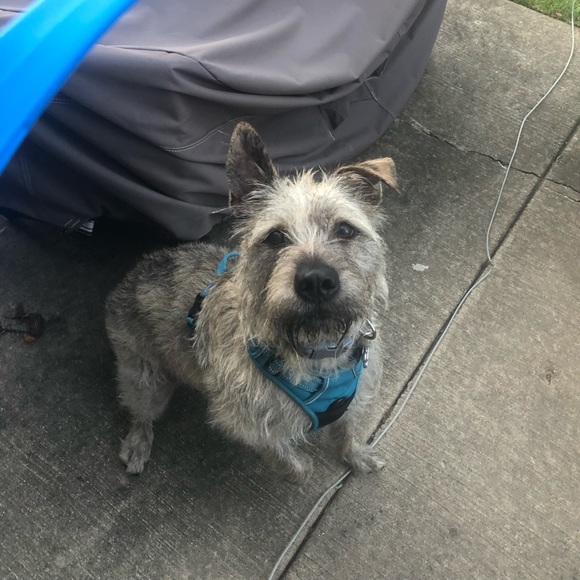 Meet your Posher, Jennifer - Picture 1 of 1